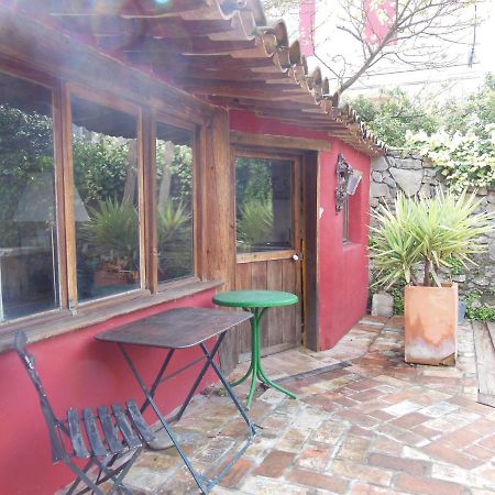 Maison Dans Jardin Villeseque-des-Corbieres Zewnętrze zdjęcie