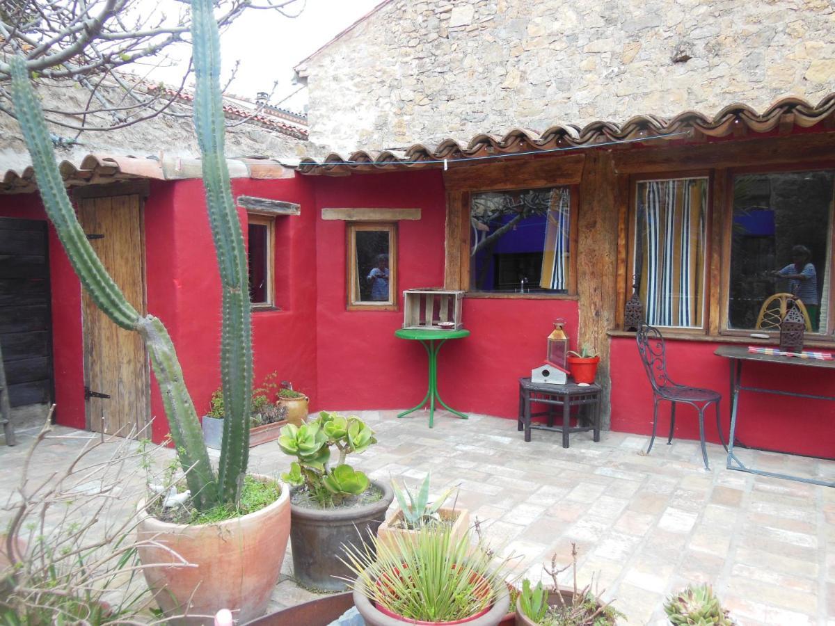 Maison Dans Jardin Villeseque-des-Corbieres Zewnętrze zdjęcie