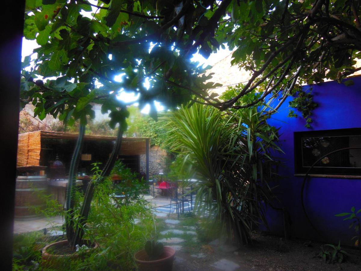 Maison Dans Jardin Villeseque-des-Corbieres Zewnętrze zdjęcie